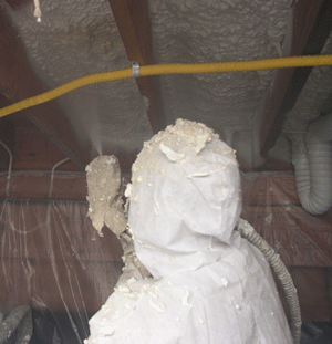 Brantford ON crawl space insulation